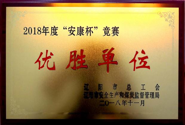 遼聯集團榮獲“2018年度安康杯競賽優勝單位”