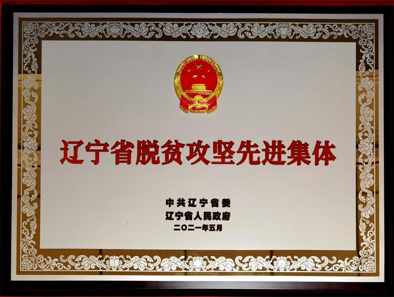 脫貧攻堅暖人心,感恩幫扶送錦旗3.jpg 脫貧攻堅暖人心,感恩幫扶送錦旗3.jpg